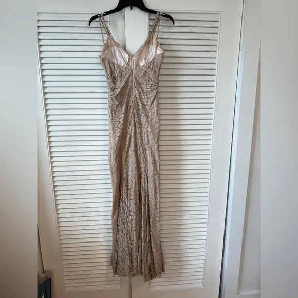 Jill Stuart Beige Lace Gown - Picture 10 of 10